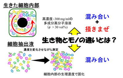 図5