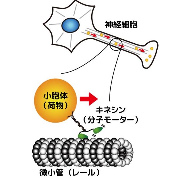 図7