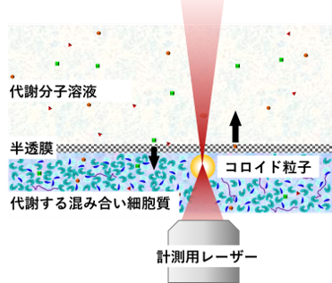 図9