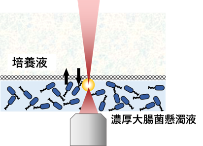 図10