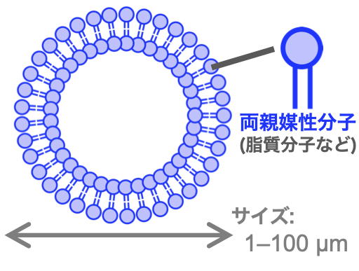 図1:脂質膜ベシクル
